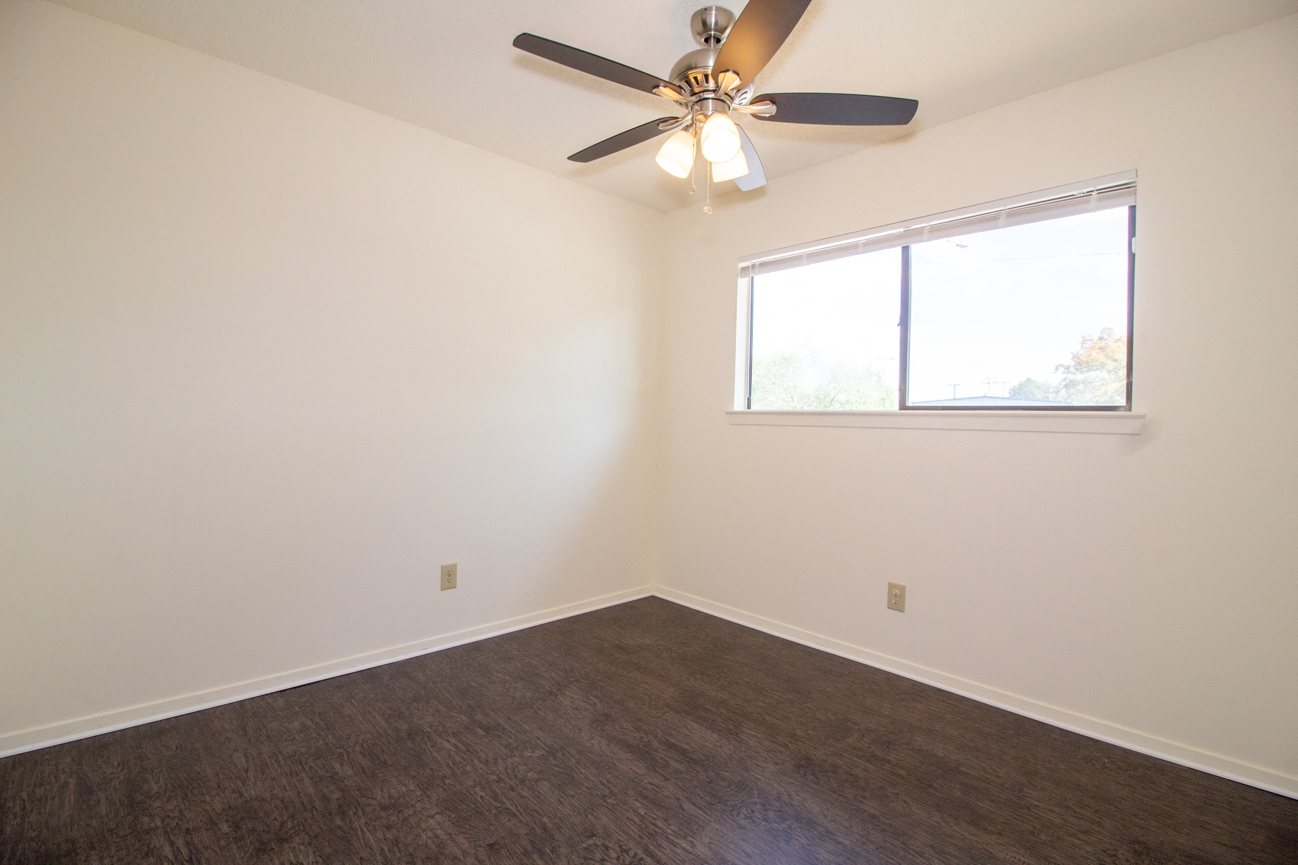 Gallery Photo 2